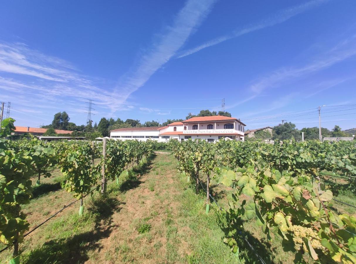 Quinta Santa Lucrecia Βίλα Μπράγκα Εξωτερικό φωτογραφία